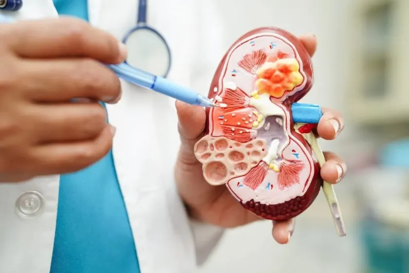 checkup-image