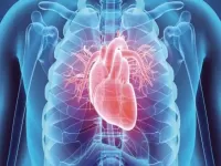 comprehensive guide to heart diseases in india 