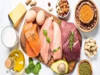 protein in indian diet benefits sources 