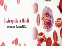 eosinophils in hindi
