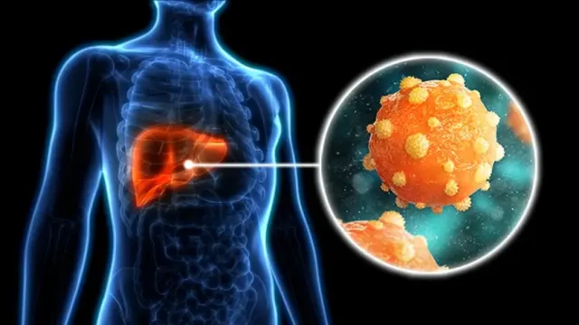 Hepatitis B in Hindi