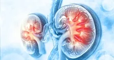 Kidney Test Packages in Mohali