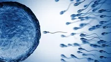 Sexual Health Test Packages in Saharsa