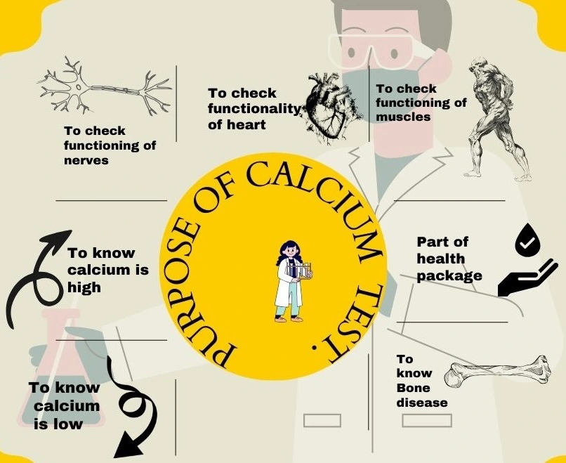 Calcium Test Price, Report & Procedure Mediyaar Healthcare