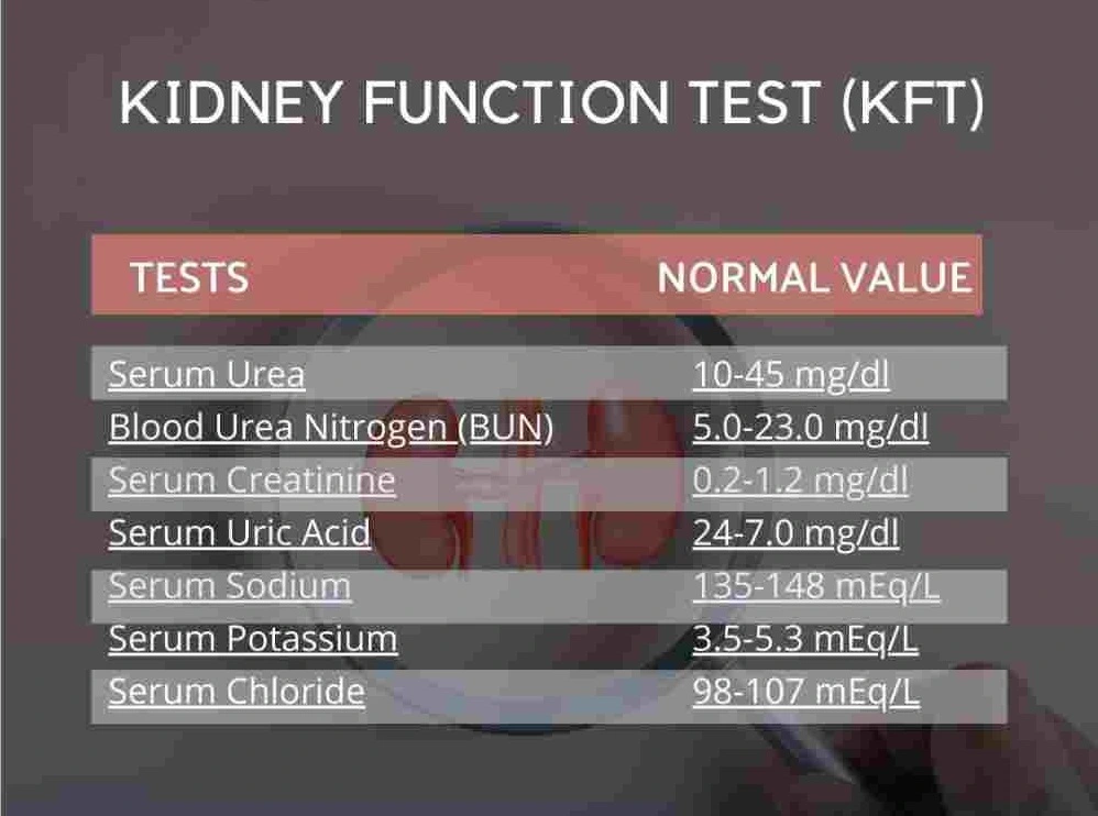 Complete Rft Test Rft/Kft Test: Price, Full Form, Normal Range, Report Image – JFFA