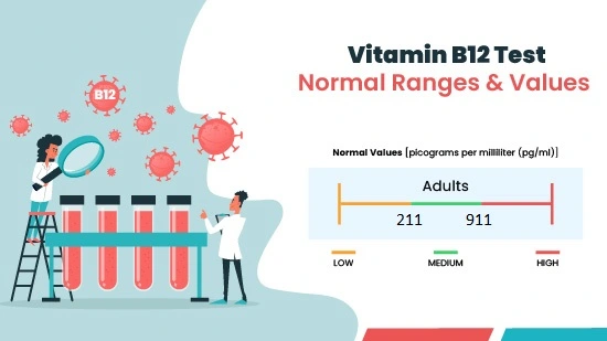 vitmin b12 normal range