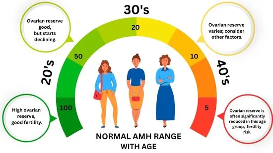normal amh levels