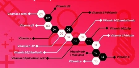 complete vitamin profile test